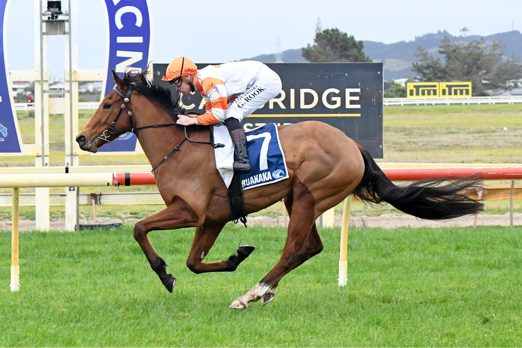 Hometown feature looms for She’s No Saint