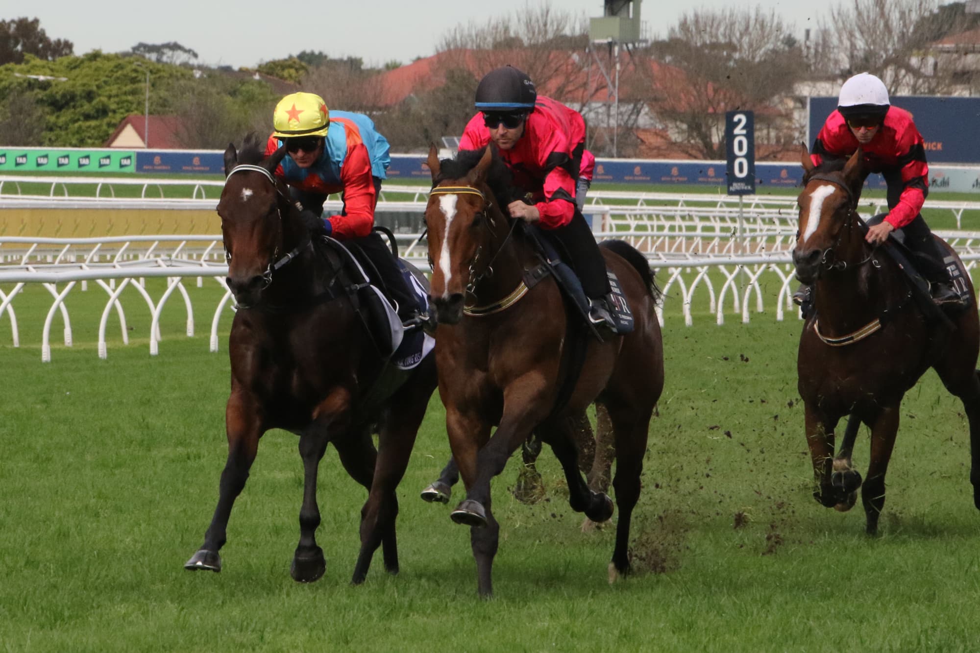 World’s best horse Ka Ying Rising trials smoothly ahead of Everest defence