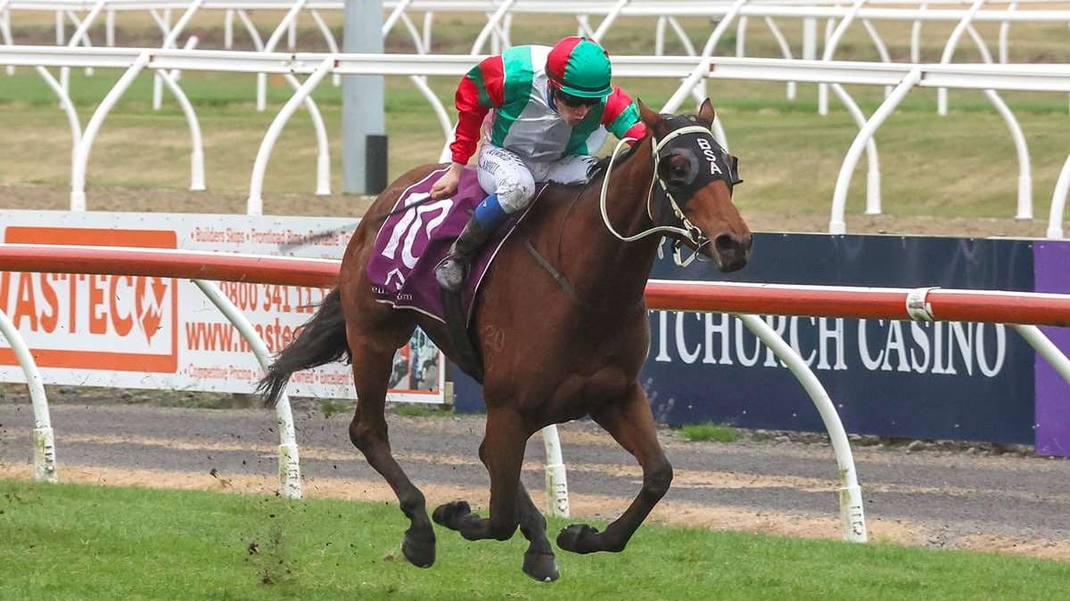 Andertons bringing strength in numbers to Wingatui