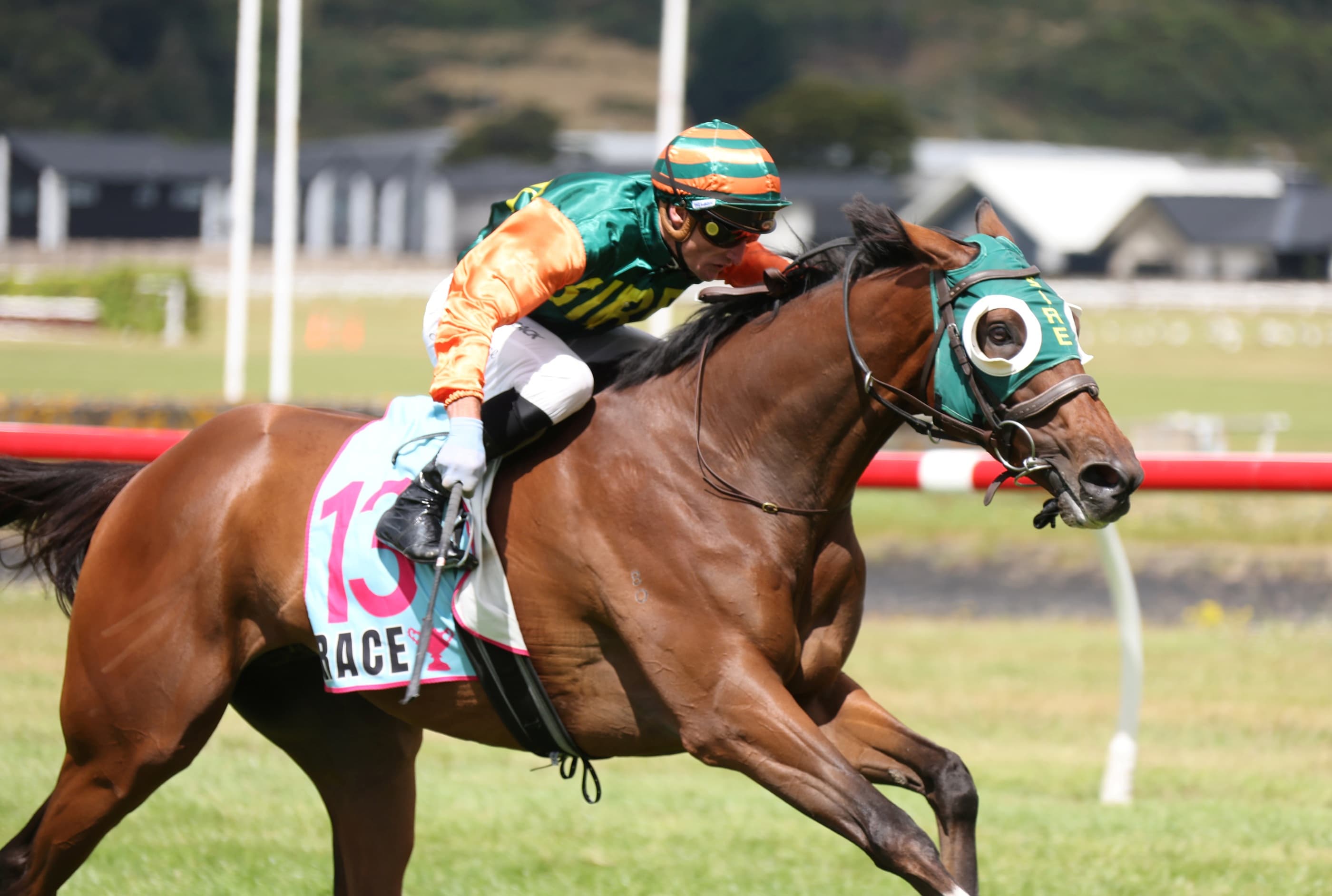 Pitman team poised to shine ahead of Cup week