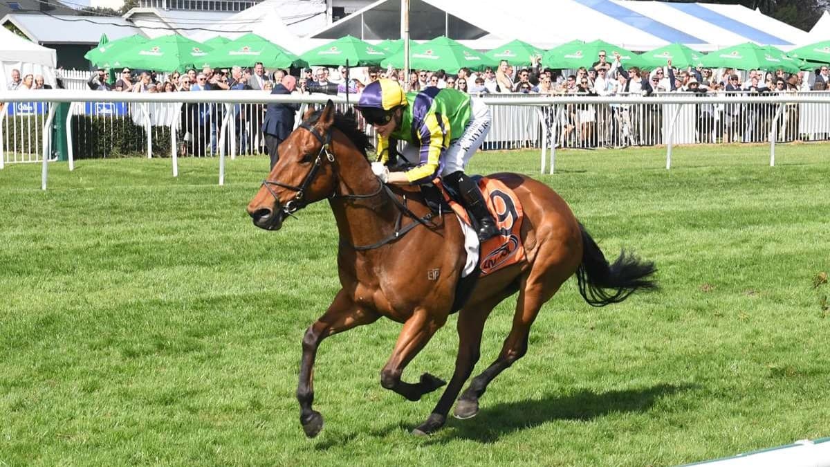 Connections in no rush with hot prospect Zorero