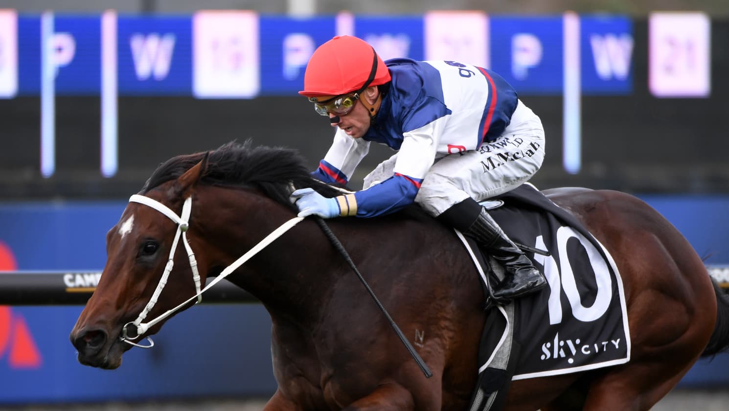 Familiar partnership go back-to-back in Star Way Stakes