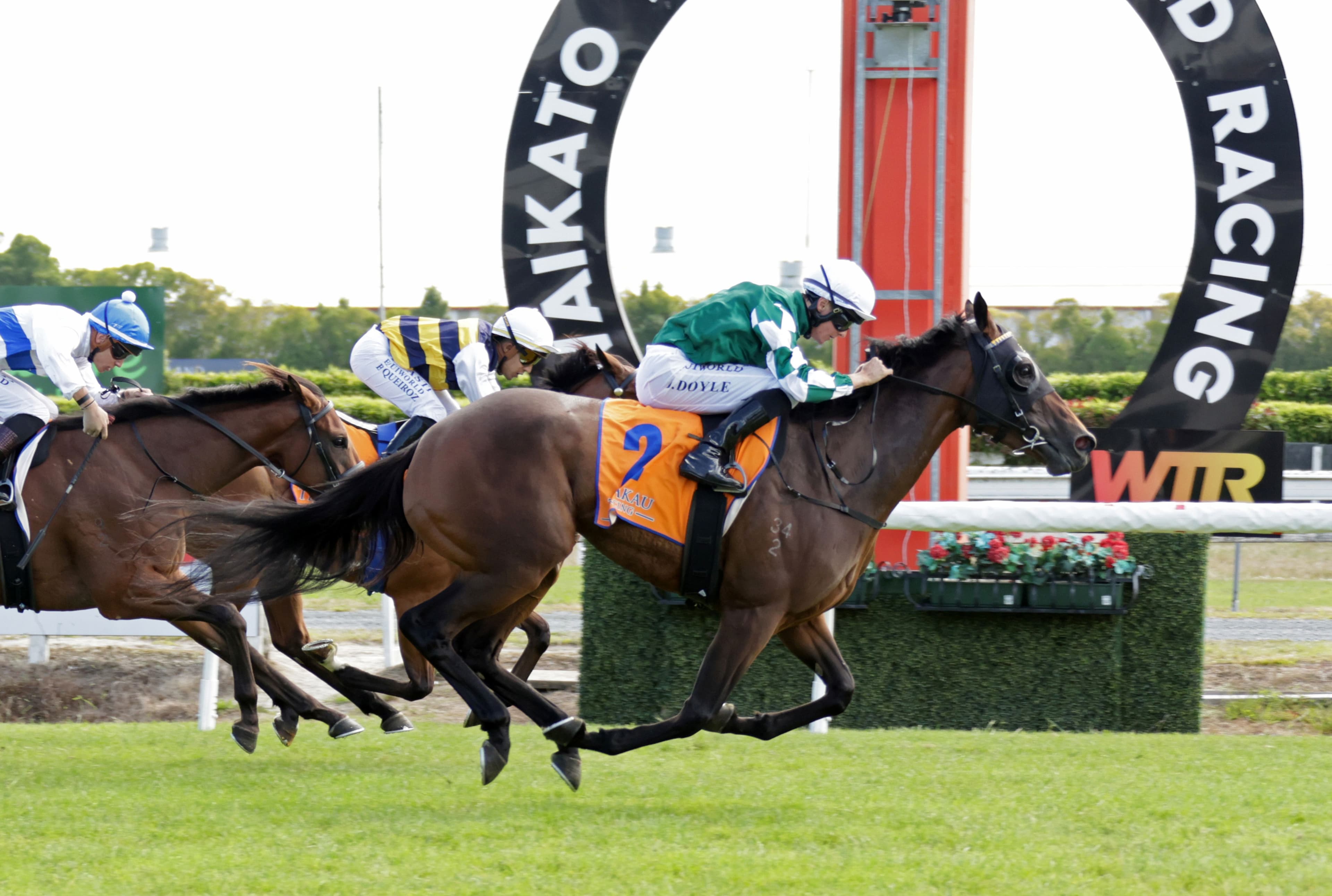 Wexford loaded with talent for Ellerslie