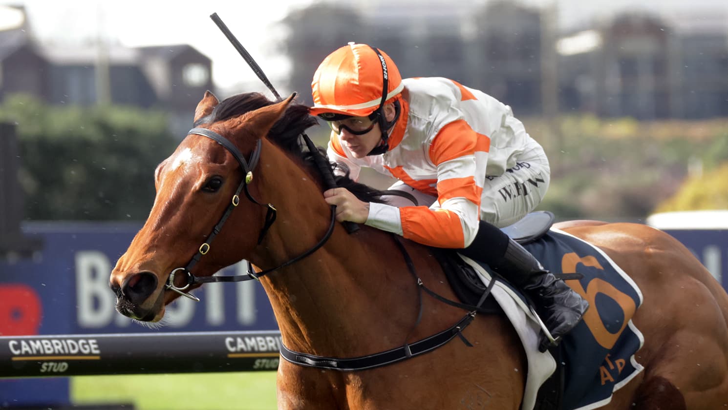 Double delight for Bradley at Ellerslie