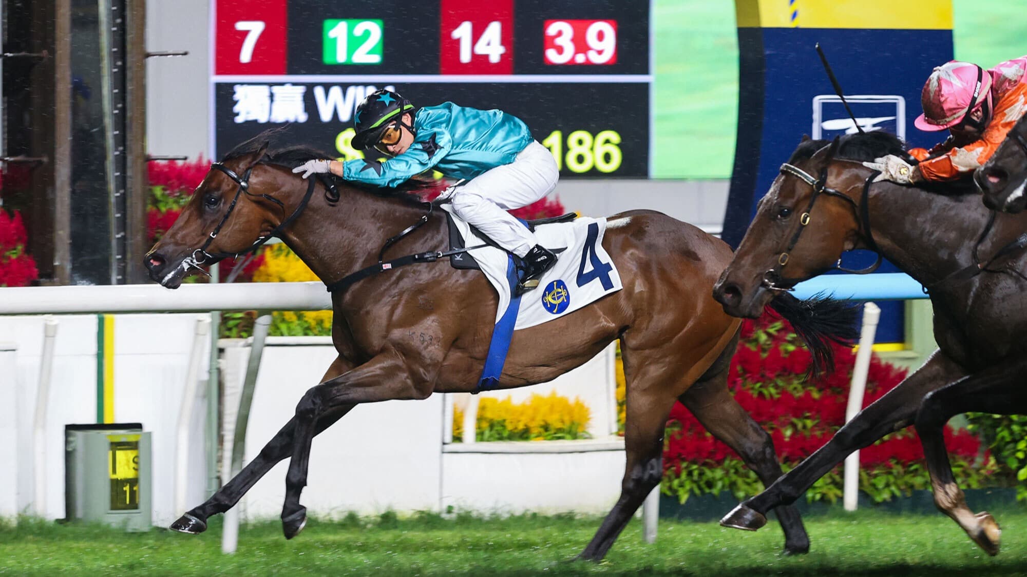 Sha Tin Tips for Monday October 19th