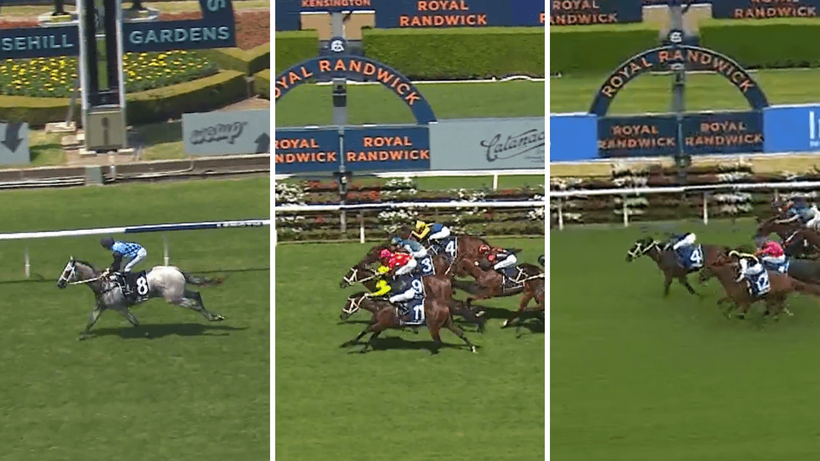 Who is Chris Waller’s best chance in the Golden Slipper?