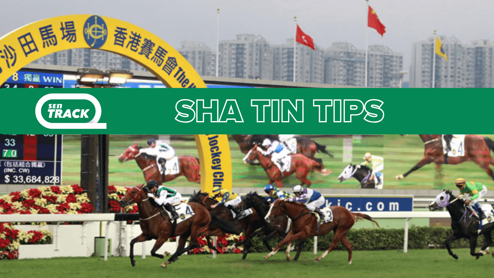 Hong Kong racing: Saturday selections at Sha Tin (14/02)