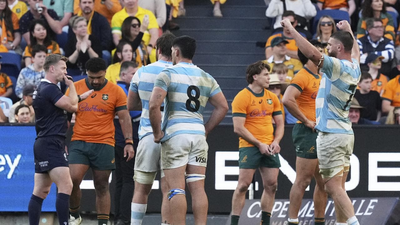 Claws out: Pumas dream of first Rugby Championship