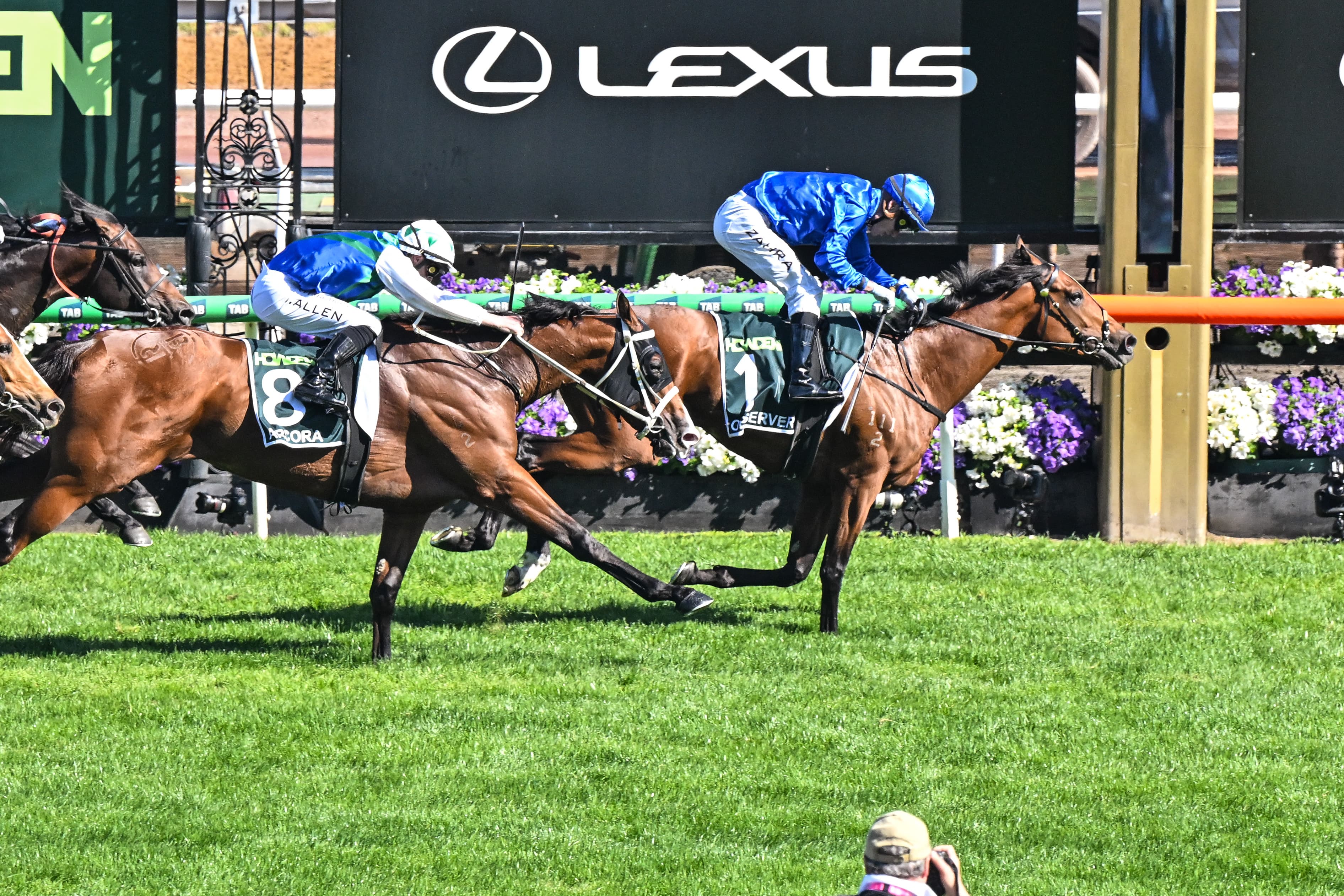 Will Observer become Australia’s best middle-distance horse by the end of 2026?