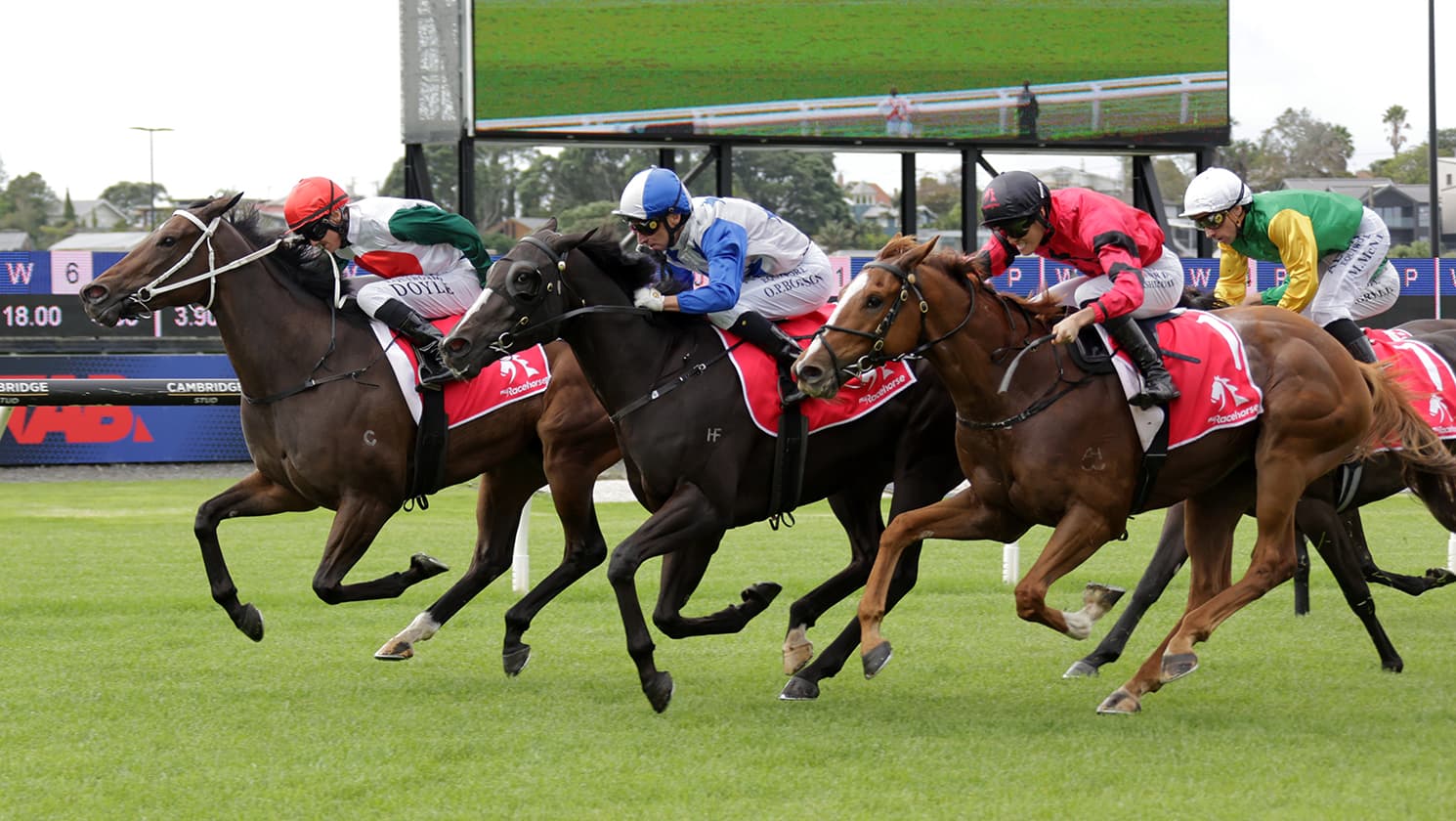 Stakes assignment in the offing for La Diem