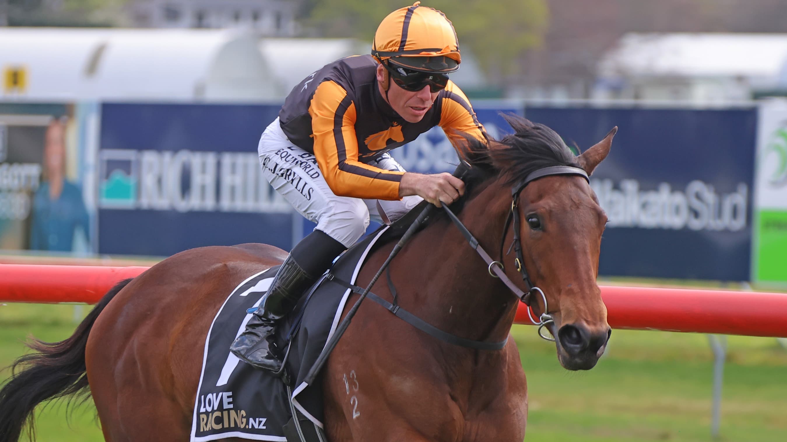 Promising filly primed for Te Rapa test