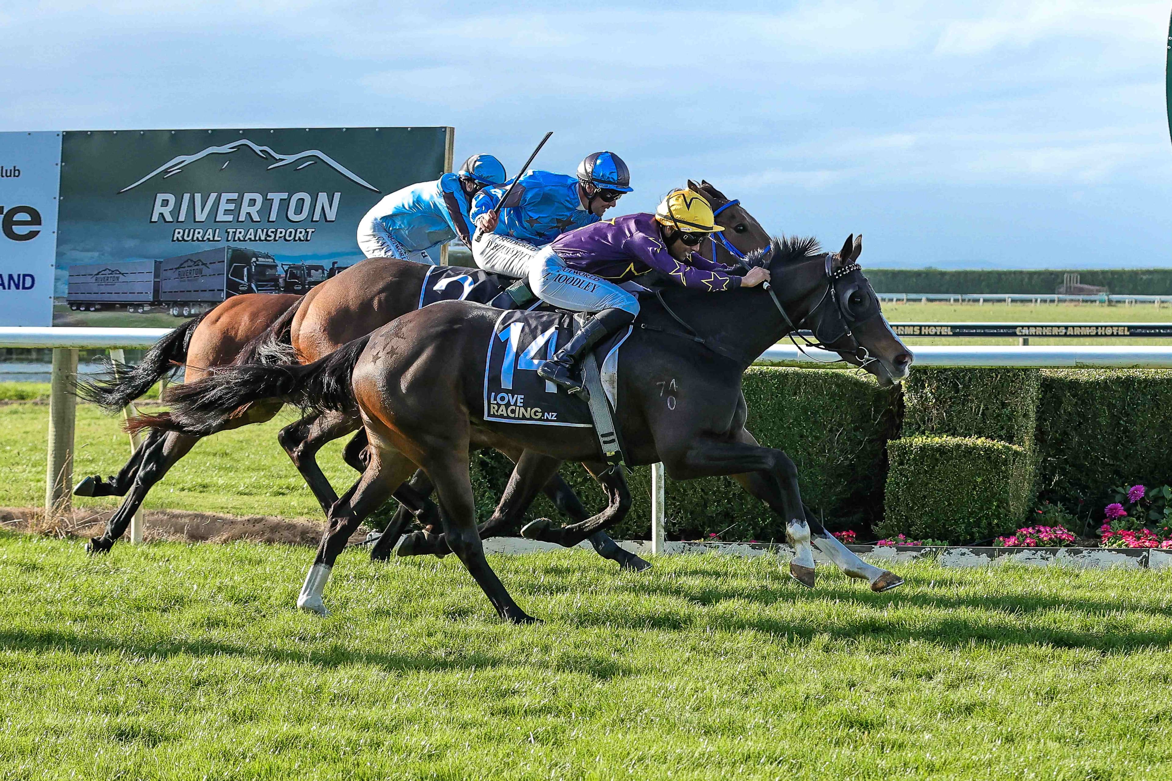 Stumbles seeking sentimental home victory