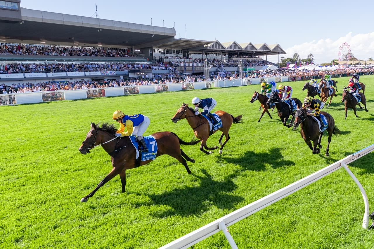 Racing SA's Adelaide Cup Day best bets (09/03)