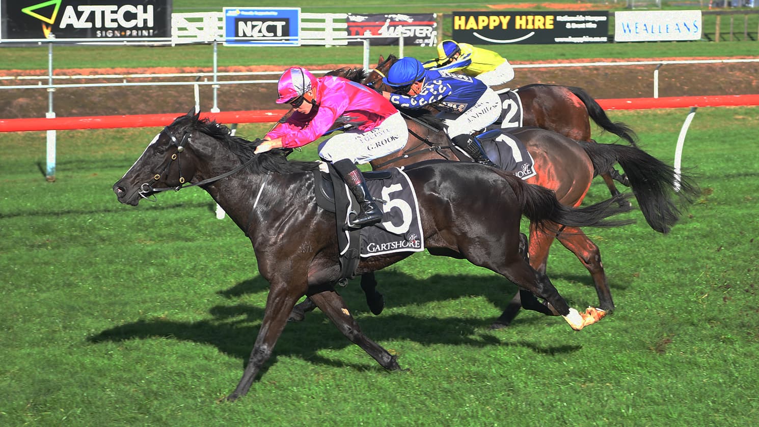 Quondo goes back-to-back at Tauranga