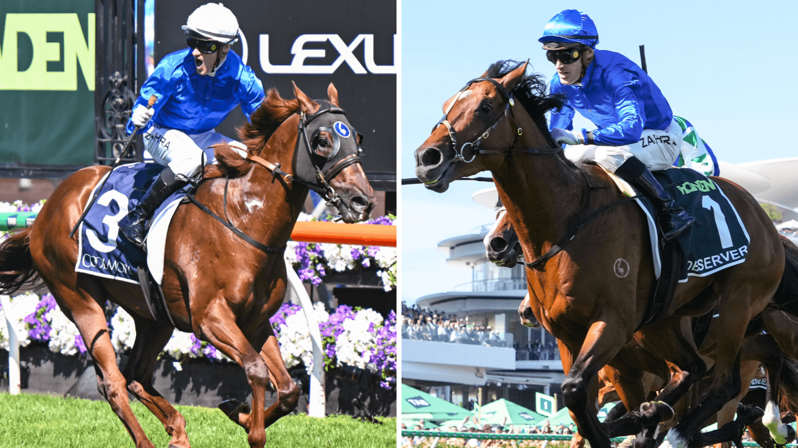 Godolphin confirm retirement of Tentyris and Observer
