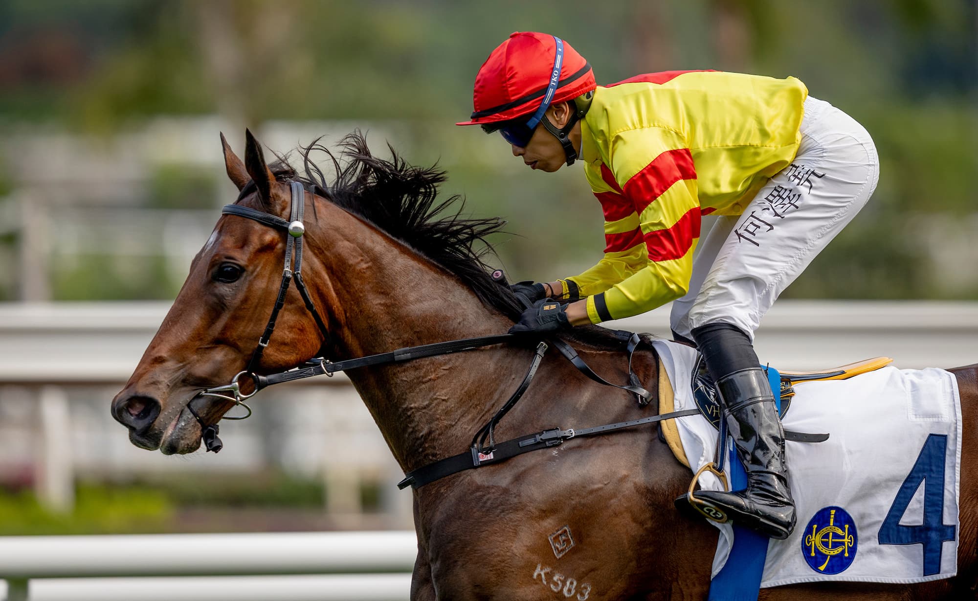 Exciting talents Hot Delight, Jedi Spurs highlight National Day Cup undercard