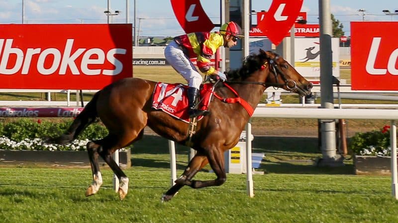 Matt Reid’s Wednesday best bets at Launceston (04/03)