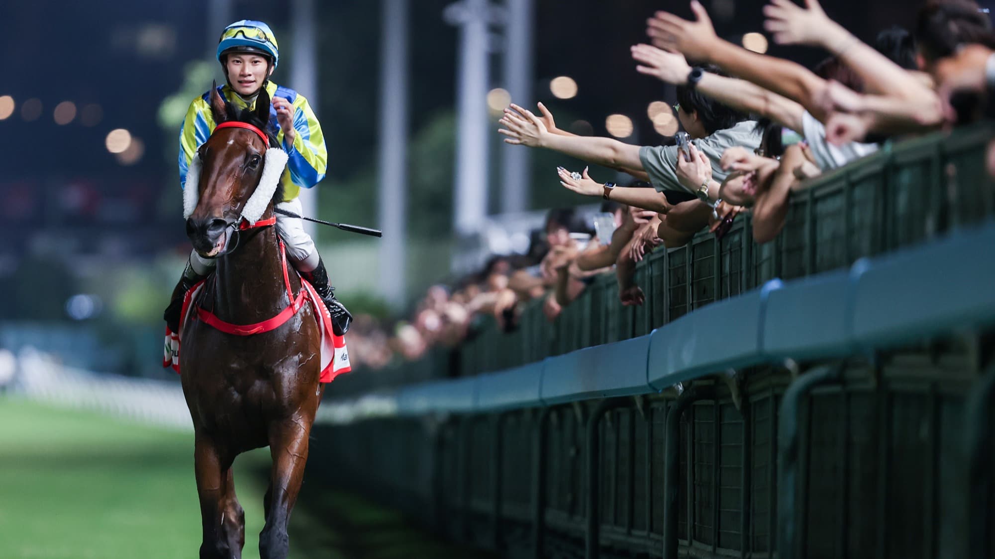 Wednesday Tips for Happy Valley