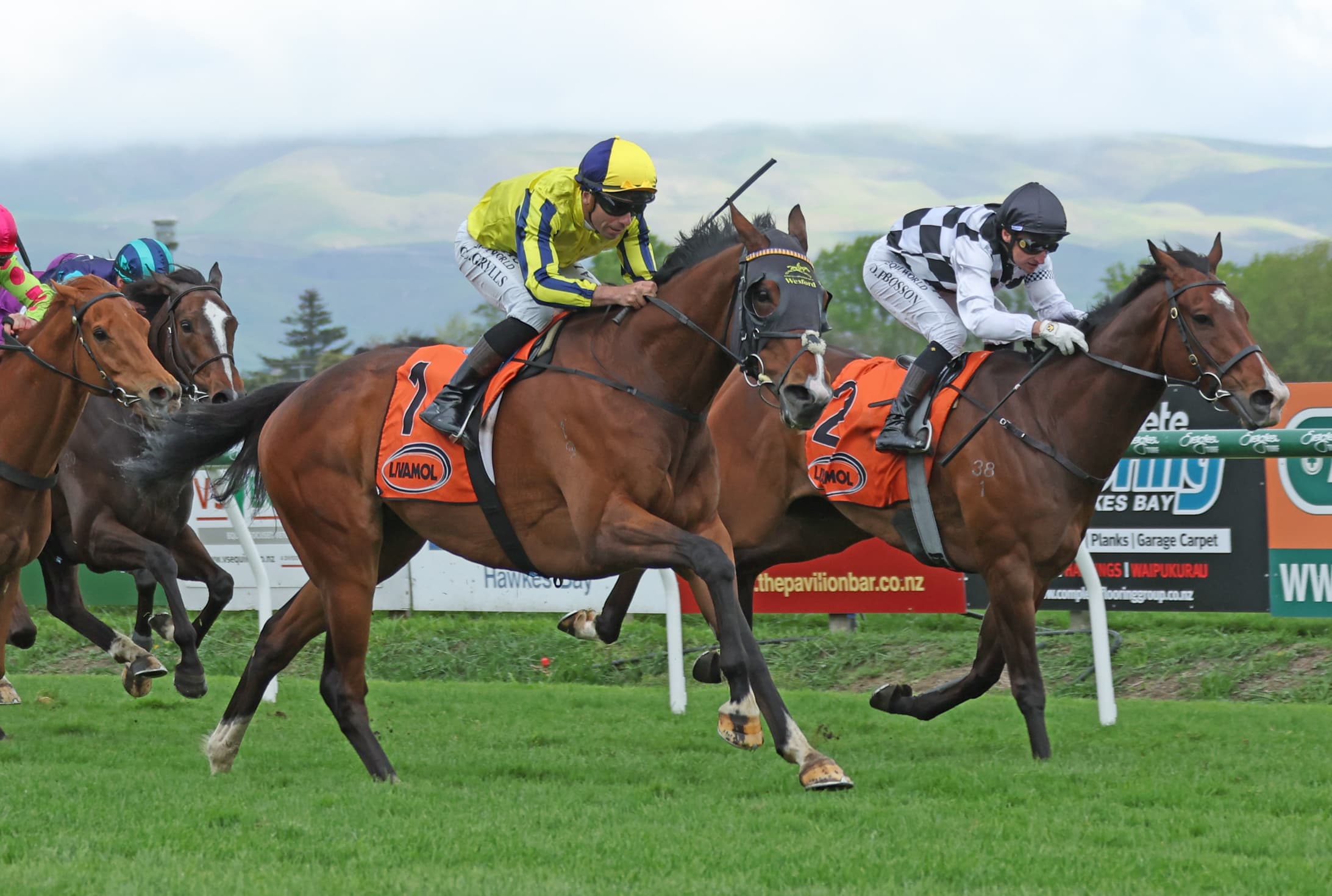 Waitak the warrior wins Hastings Group One war