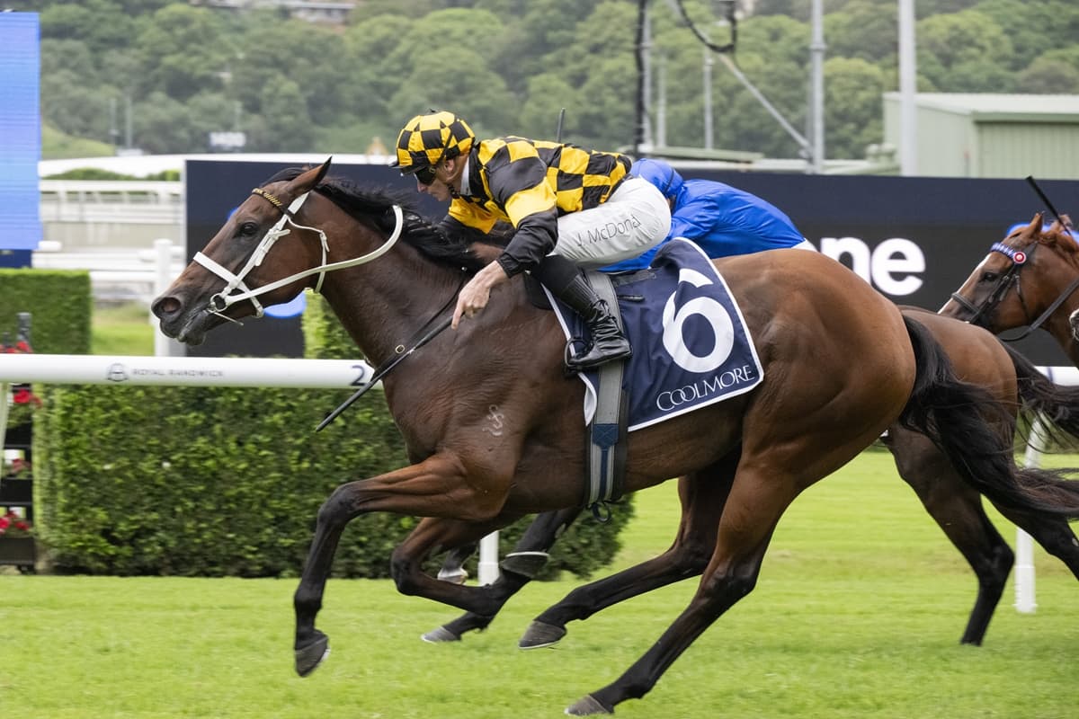 Joliestar’s Everest hopes hinge on The Shorts
