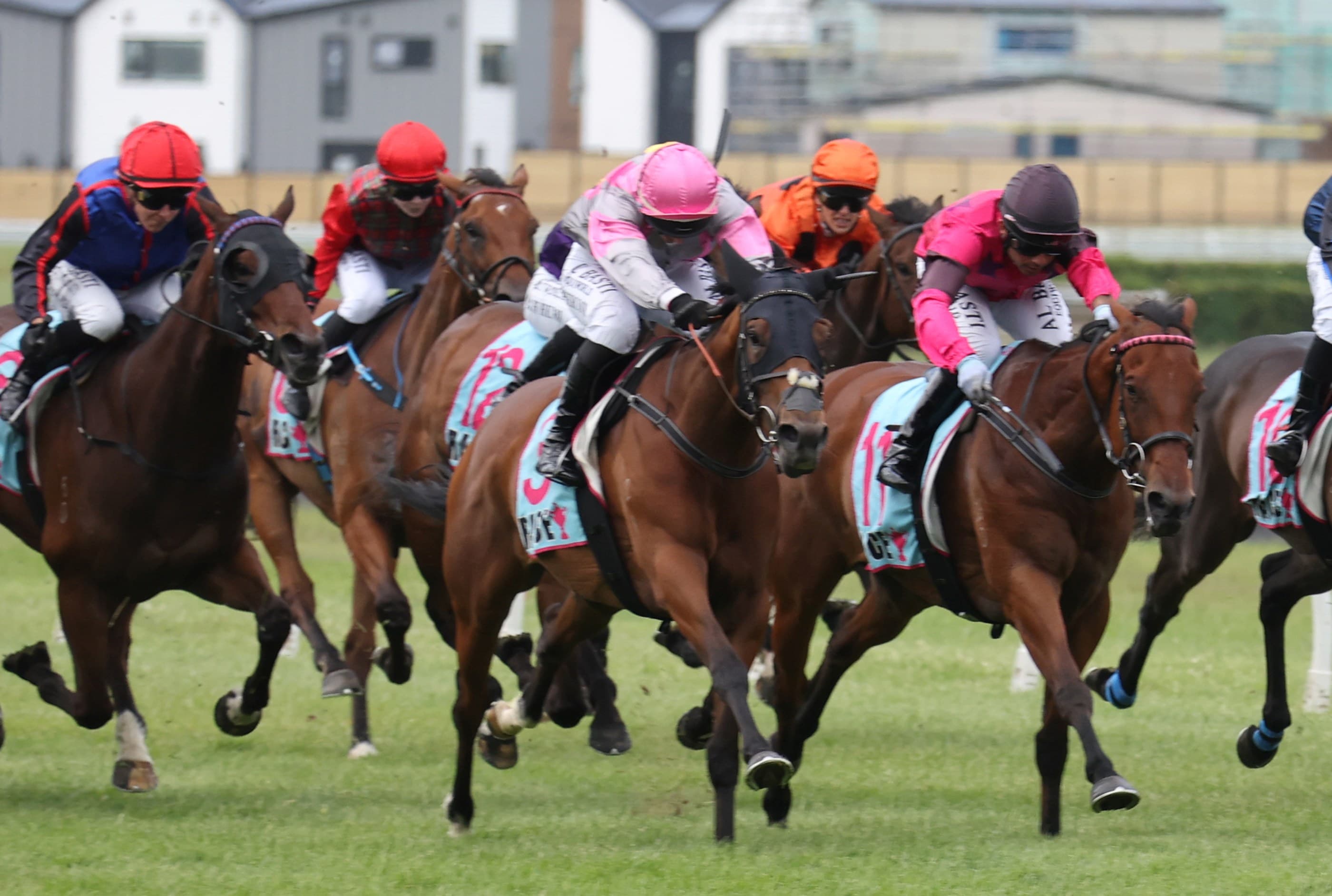 Girl Talk primed for Taranaki Breeders’ Stakes