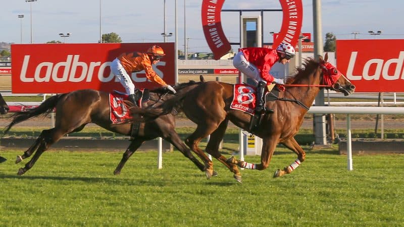 Tasracing's Friday best bets at Launceston (03/04)