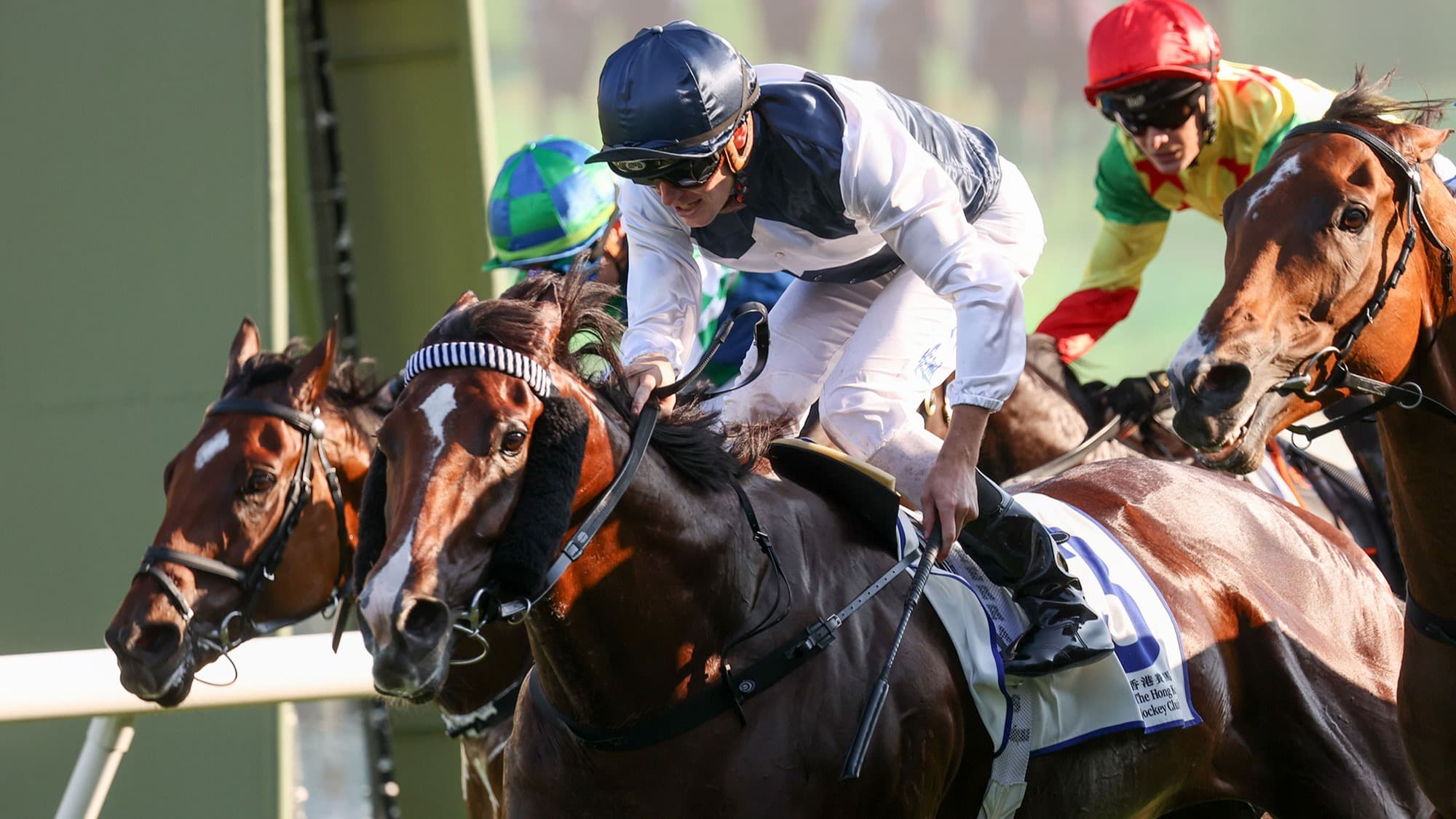 Invincible Ibis in stunning return with G3 Celebration Cup triumph, Nichola Yuen slots treble