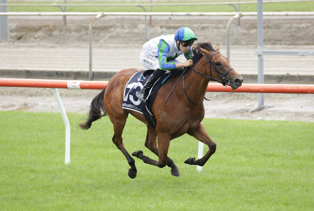 Waikato Stud convinced filly is up to NZB Kiwi task