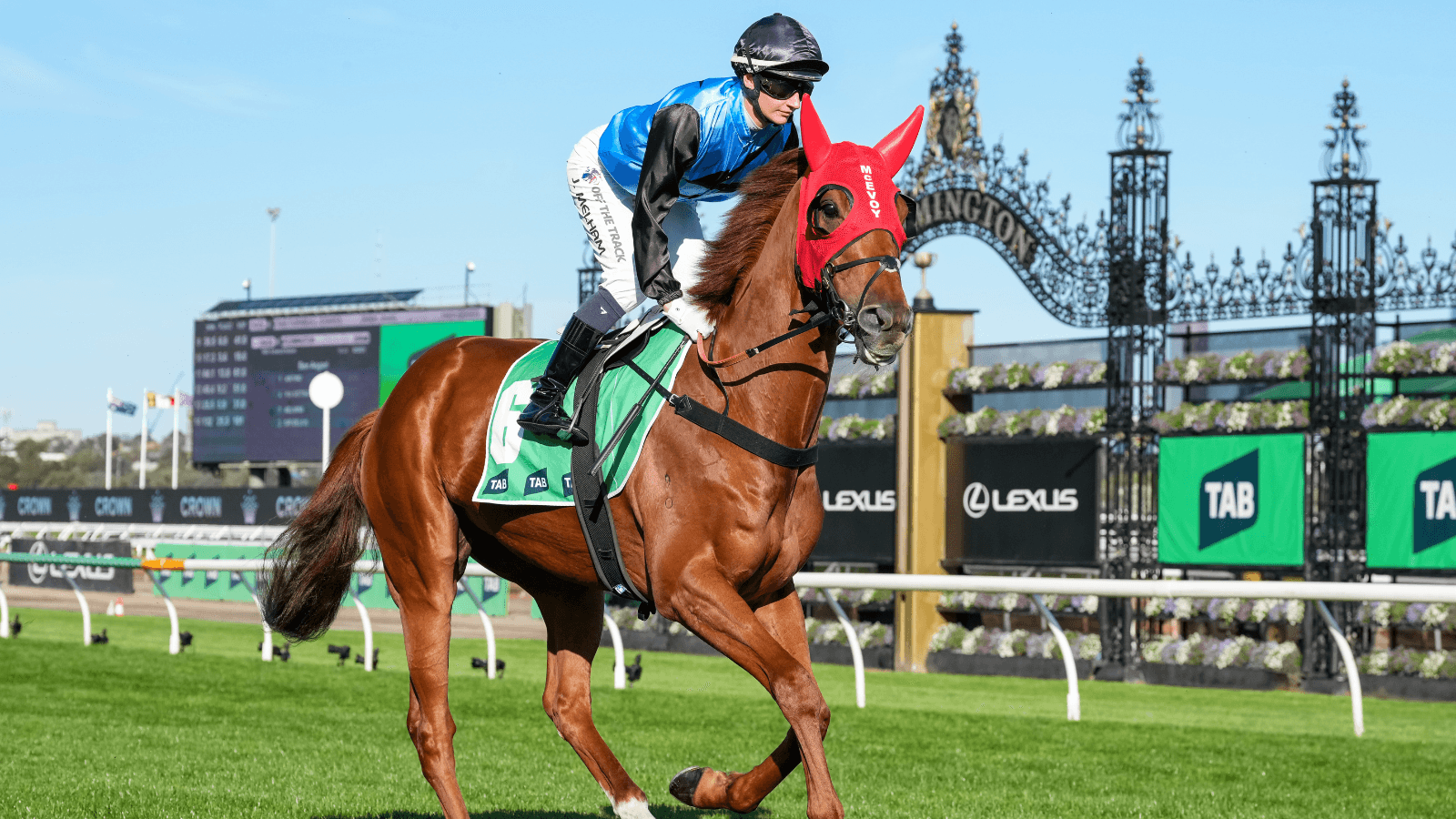 Confirmed: Reigning Melbourne Cup winner's Queensland prep is official
