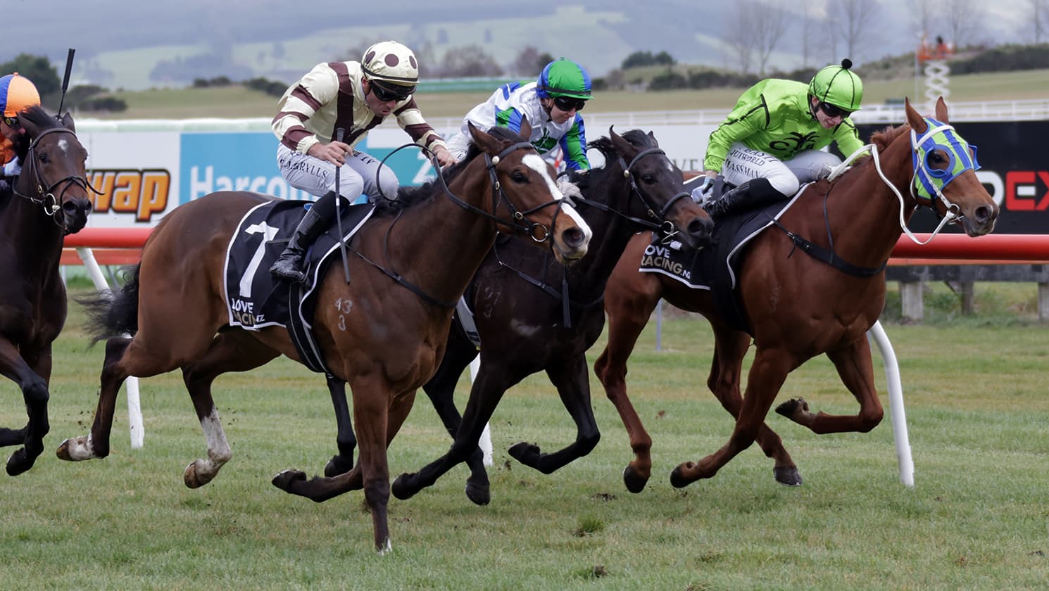 Debutant impresses in smart company at Taupo