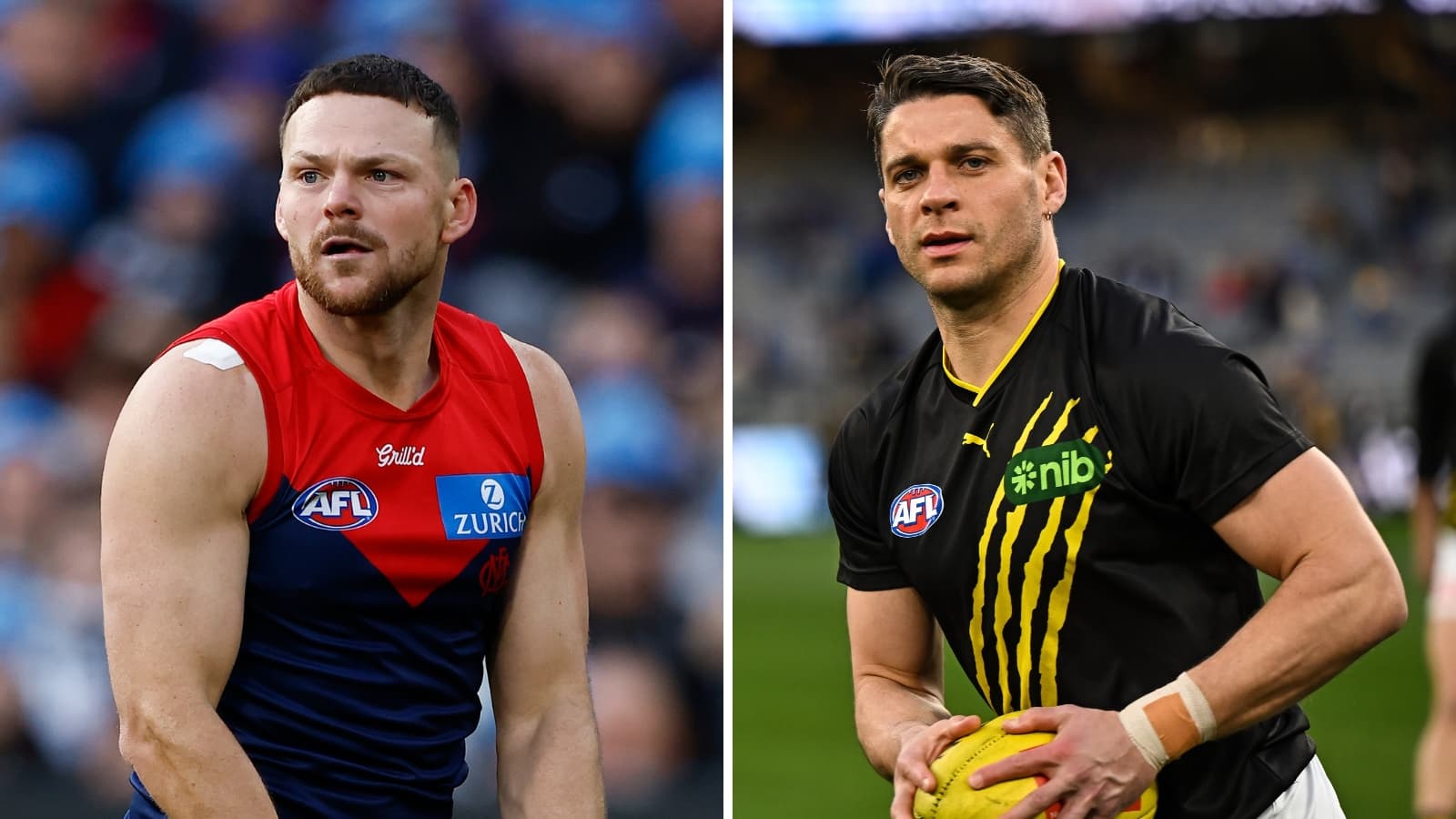 Richmond and Melbourne premiership stars charged by police