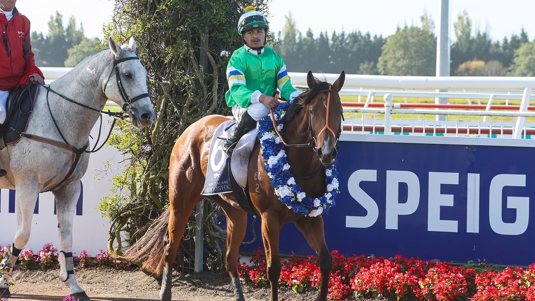 Lawson-Carroll makes fairytale return