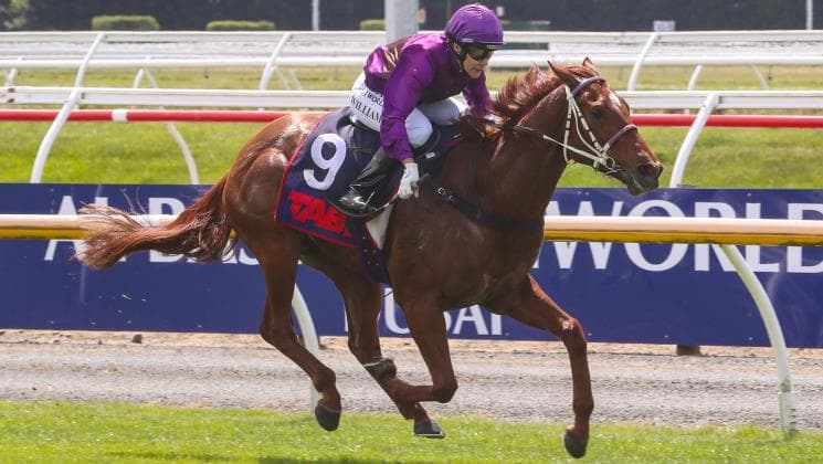 Latta chasing stakes success on both sides of the Tasman