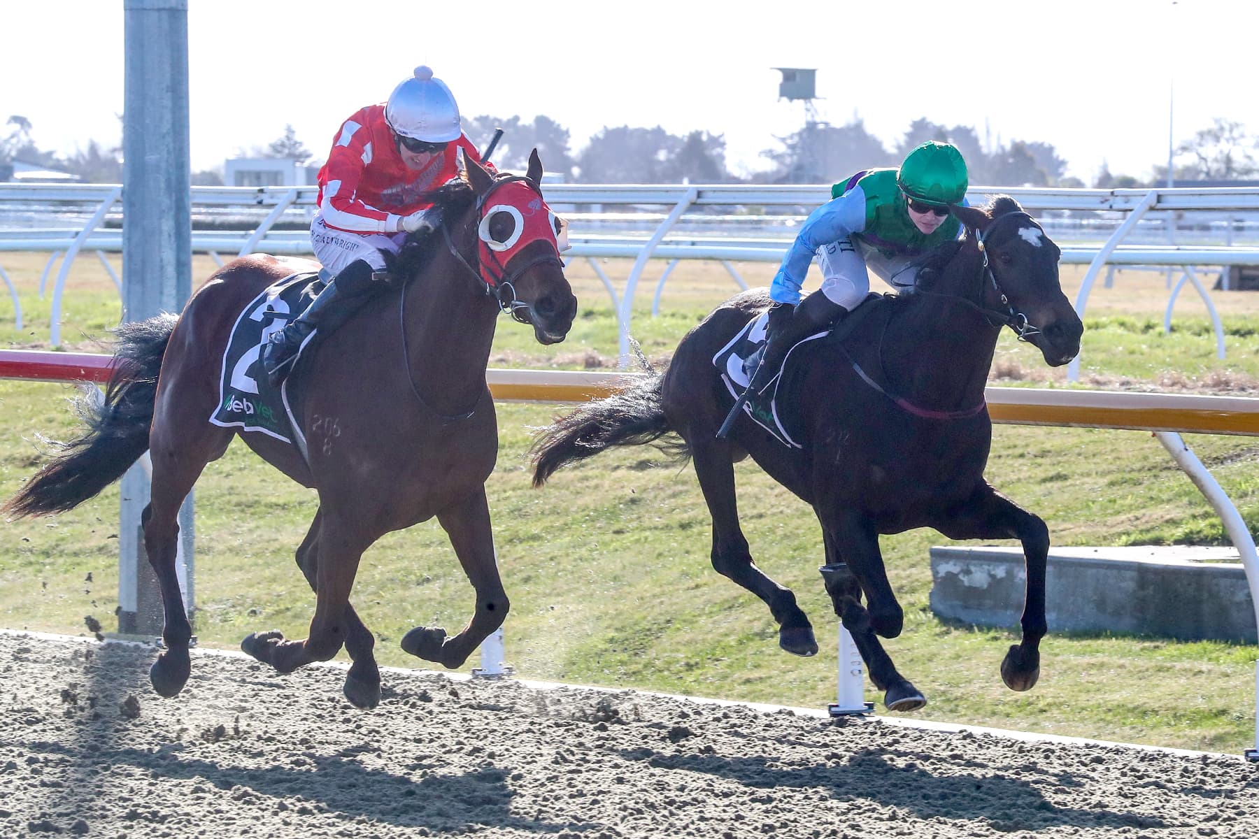 Star Ballot shines at Riccarton