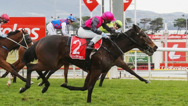 Tasracing's Sunday best bets at Hobart (15/02)