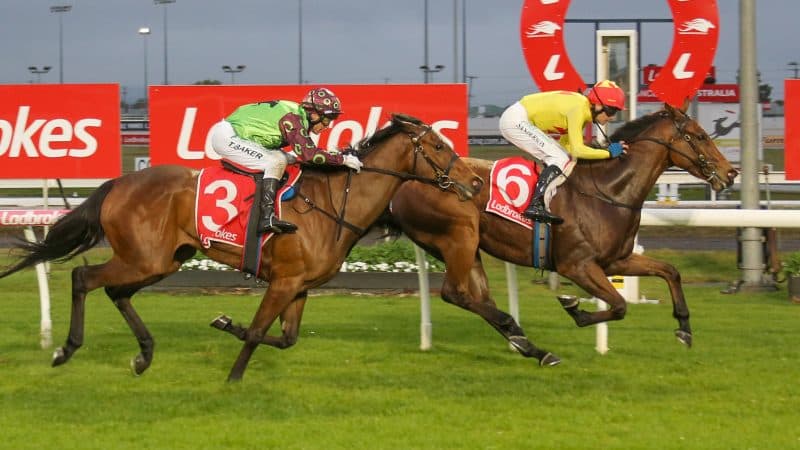 Tasracing's Friday best bets at Launceston (20/02)