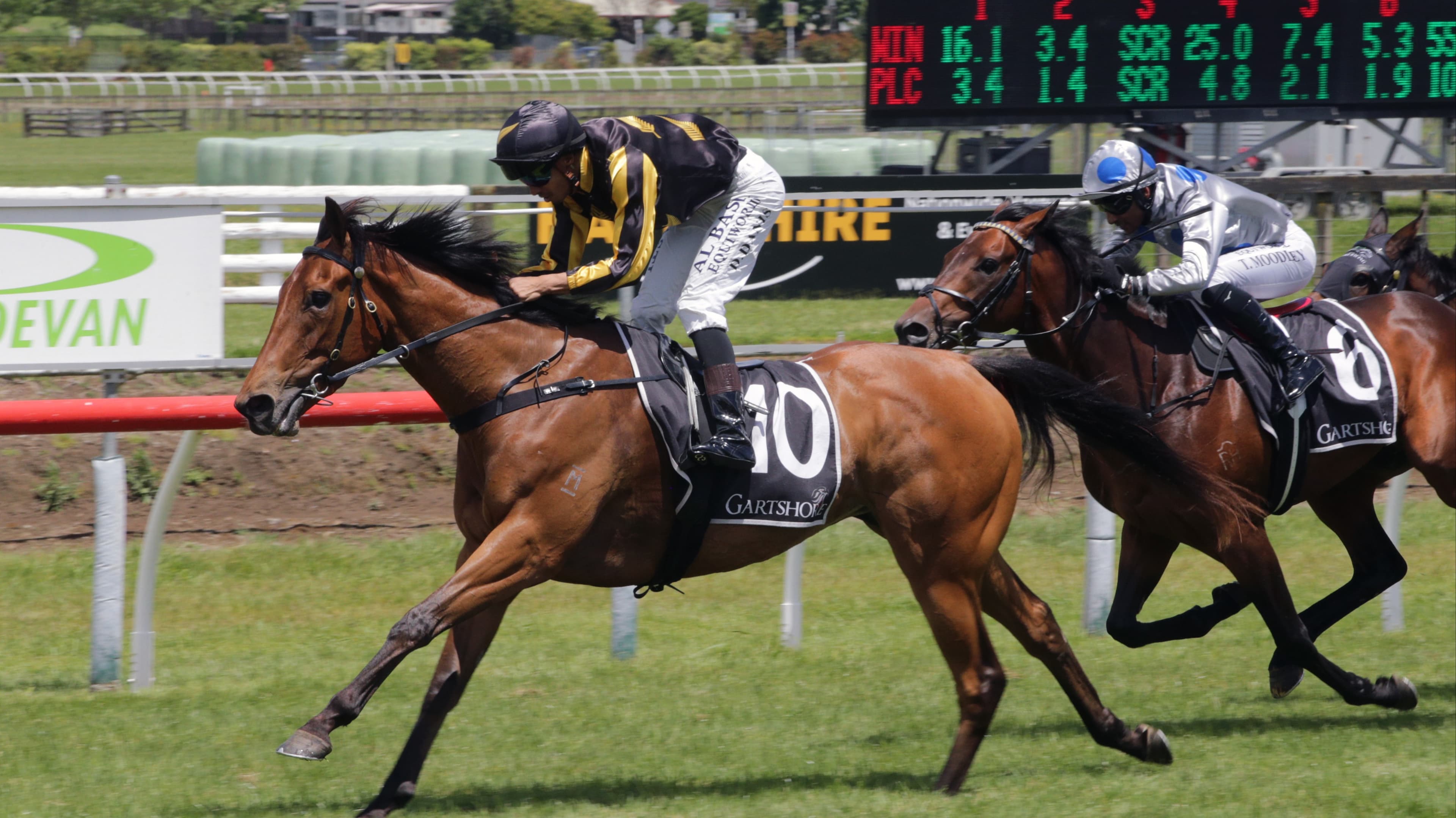 Busuttin and Young look to homeland for top-up talent