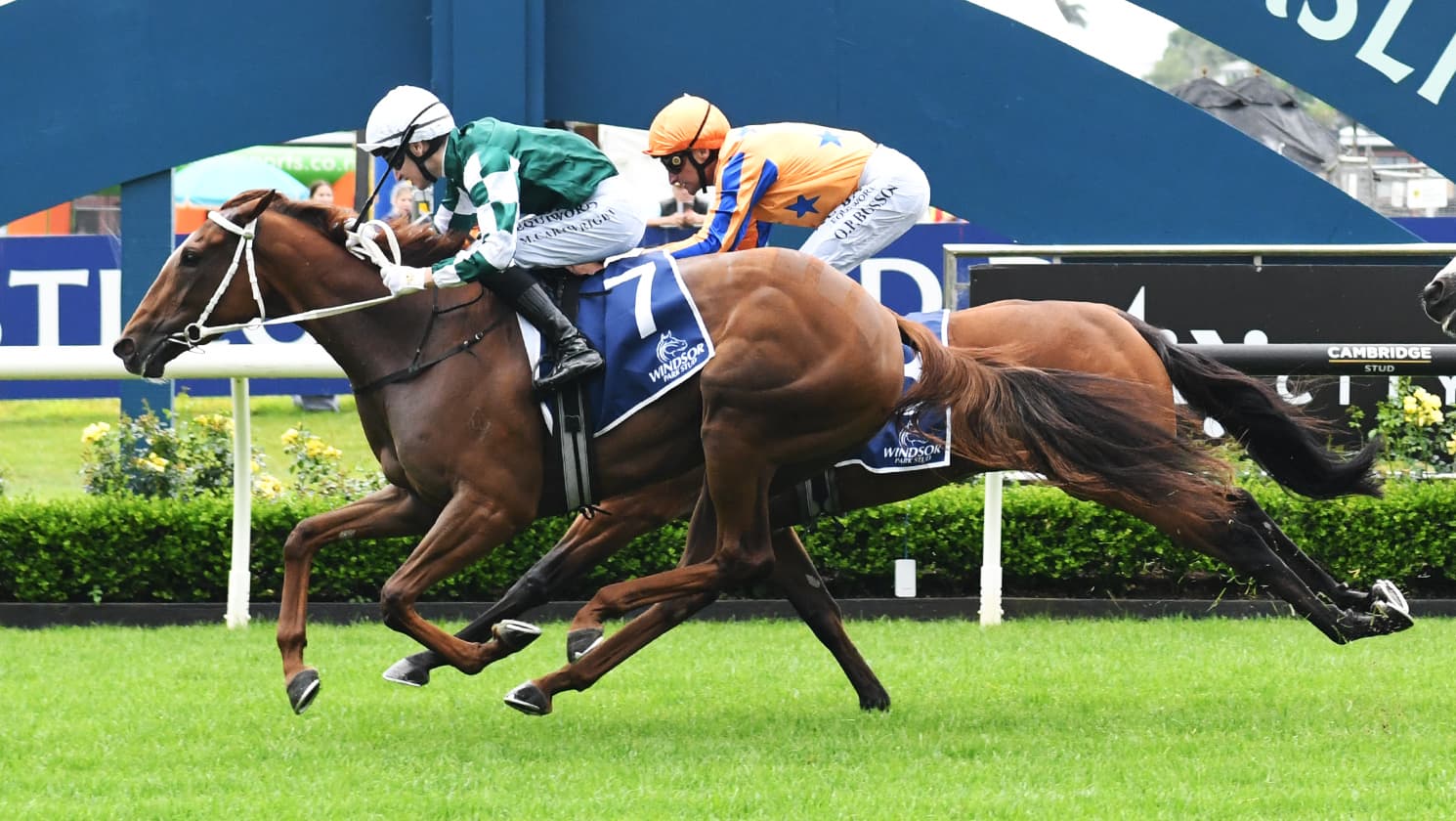 Marsh thrilled with superstar filly