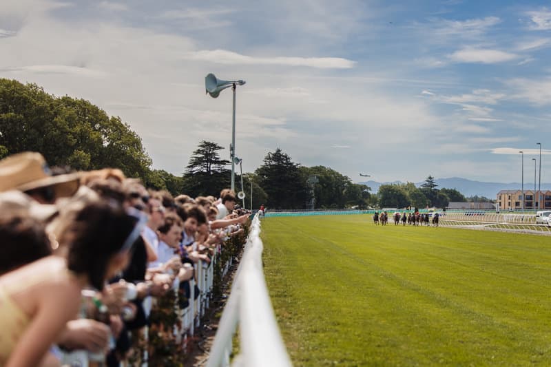Independent committee sets out reform to secure New Zealand racing's future