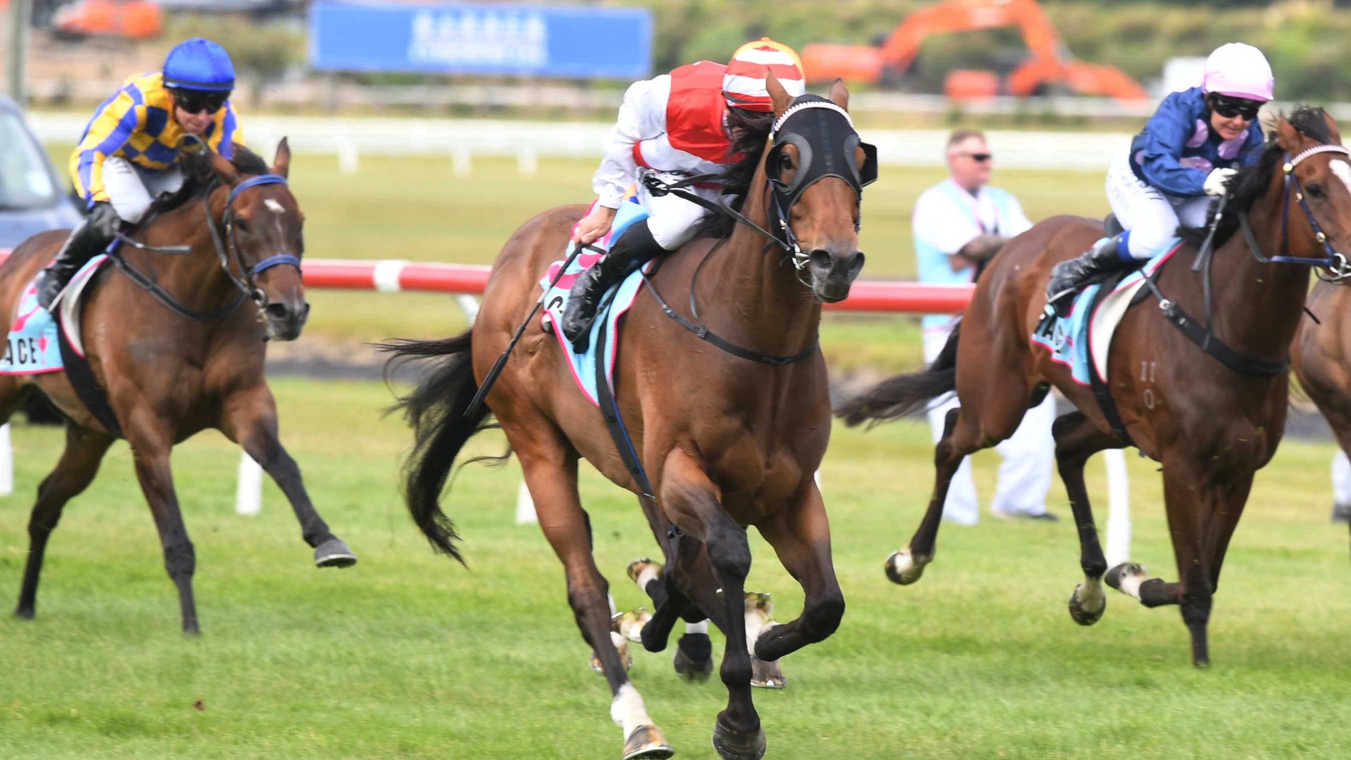 Rejuvenated Whangaehu in Auckland Cup contention