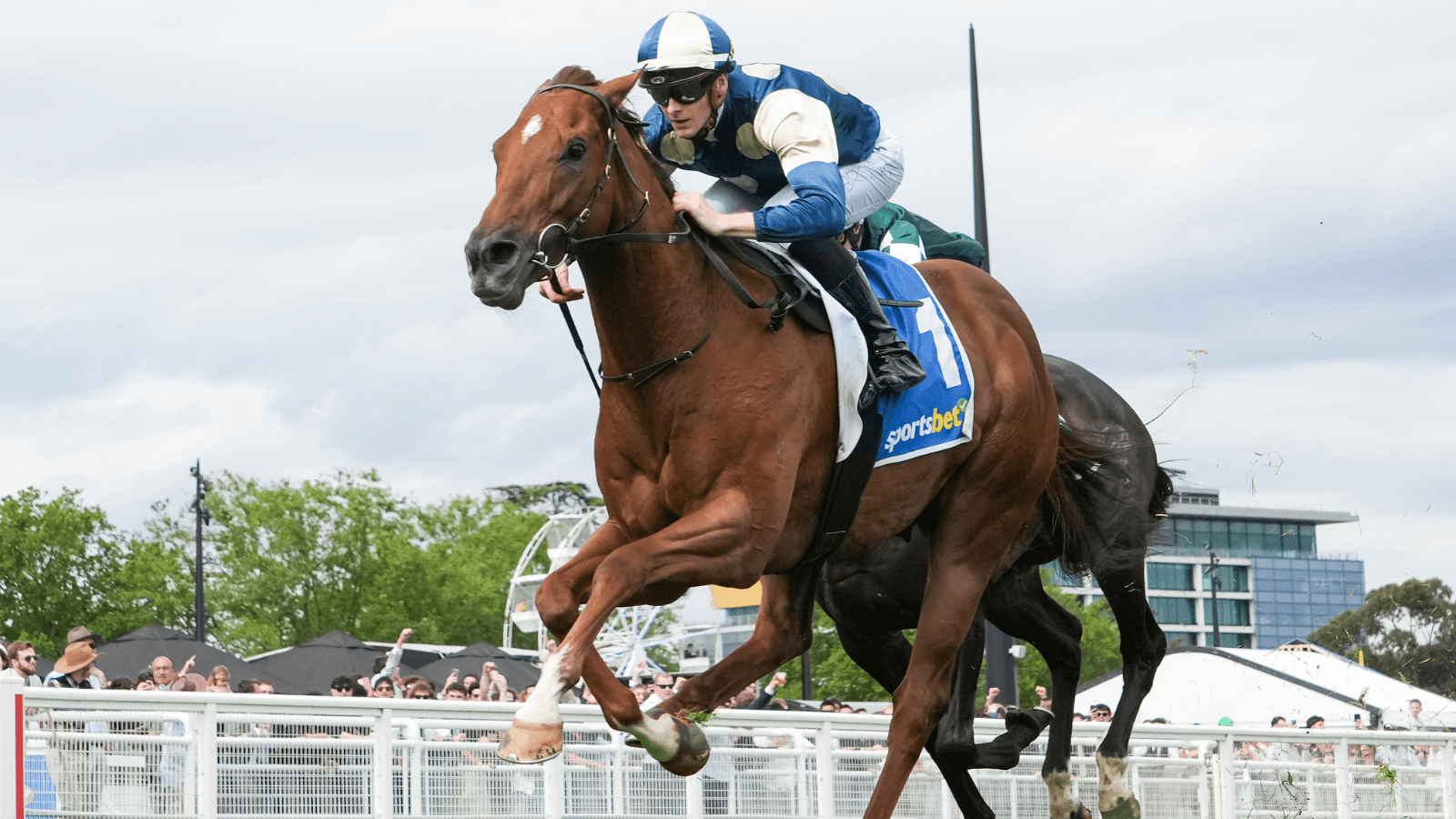 Maher: Jimmysstar is the “perfect horse” to send to Royal Ascot