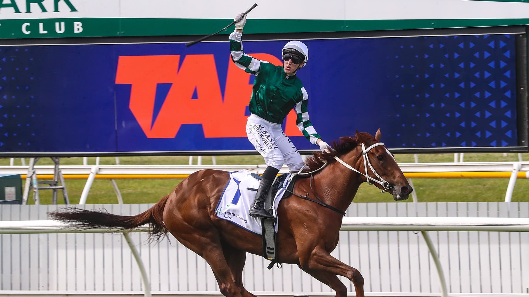 Well Written claims TAB slot for The NZB Kiwi