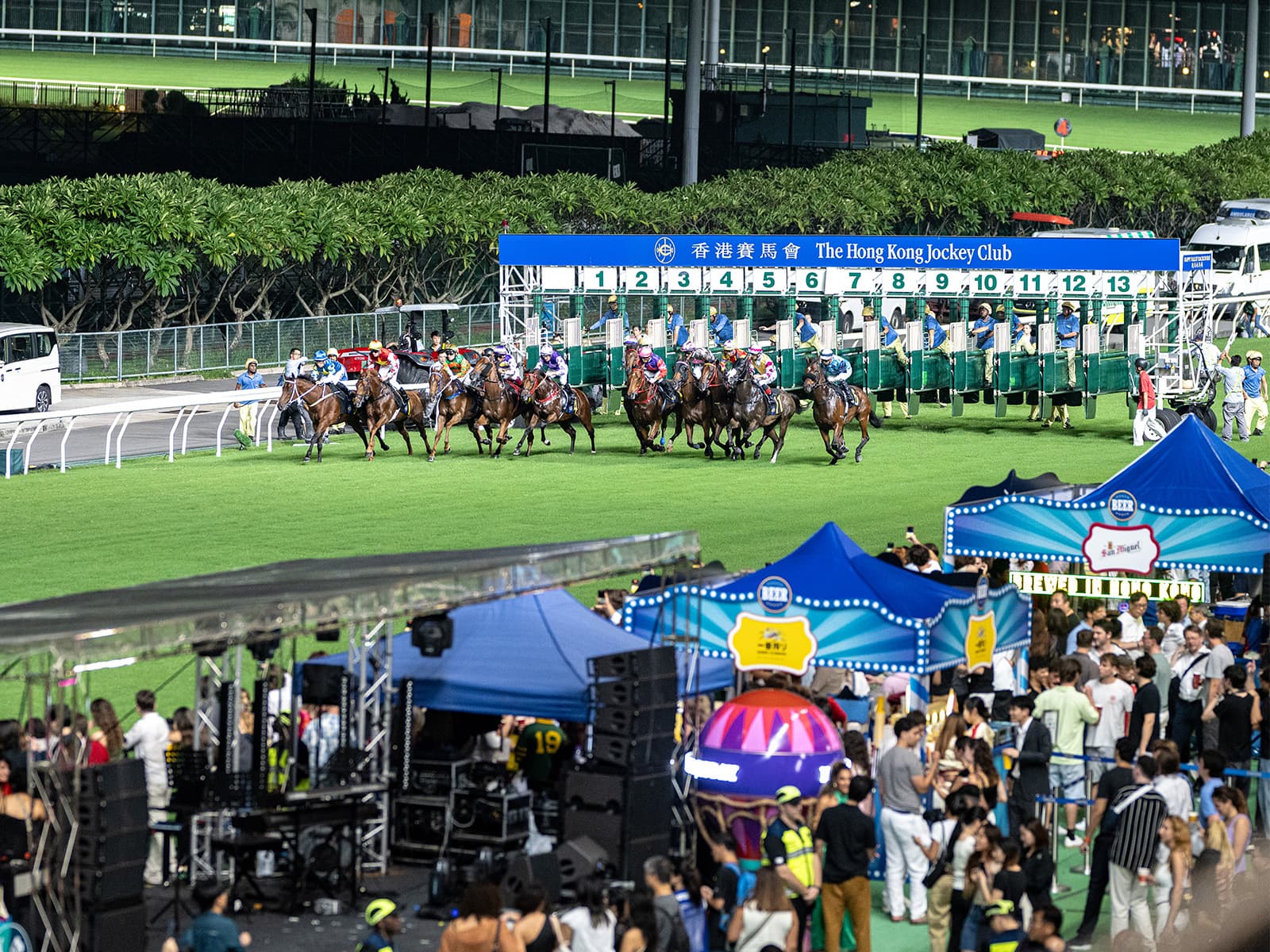 The tips are in for Happy Valley on Wednesday