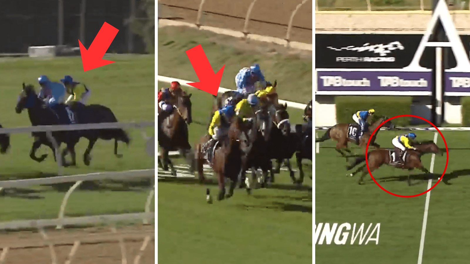 "Deserved favourite": Why the Perth Cup is Apulia's to lose