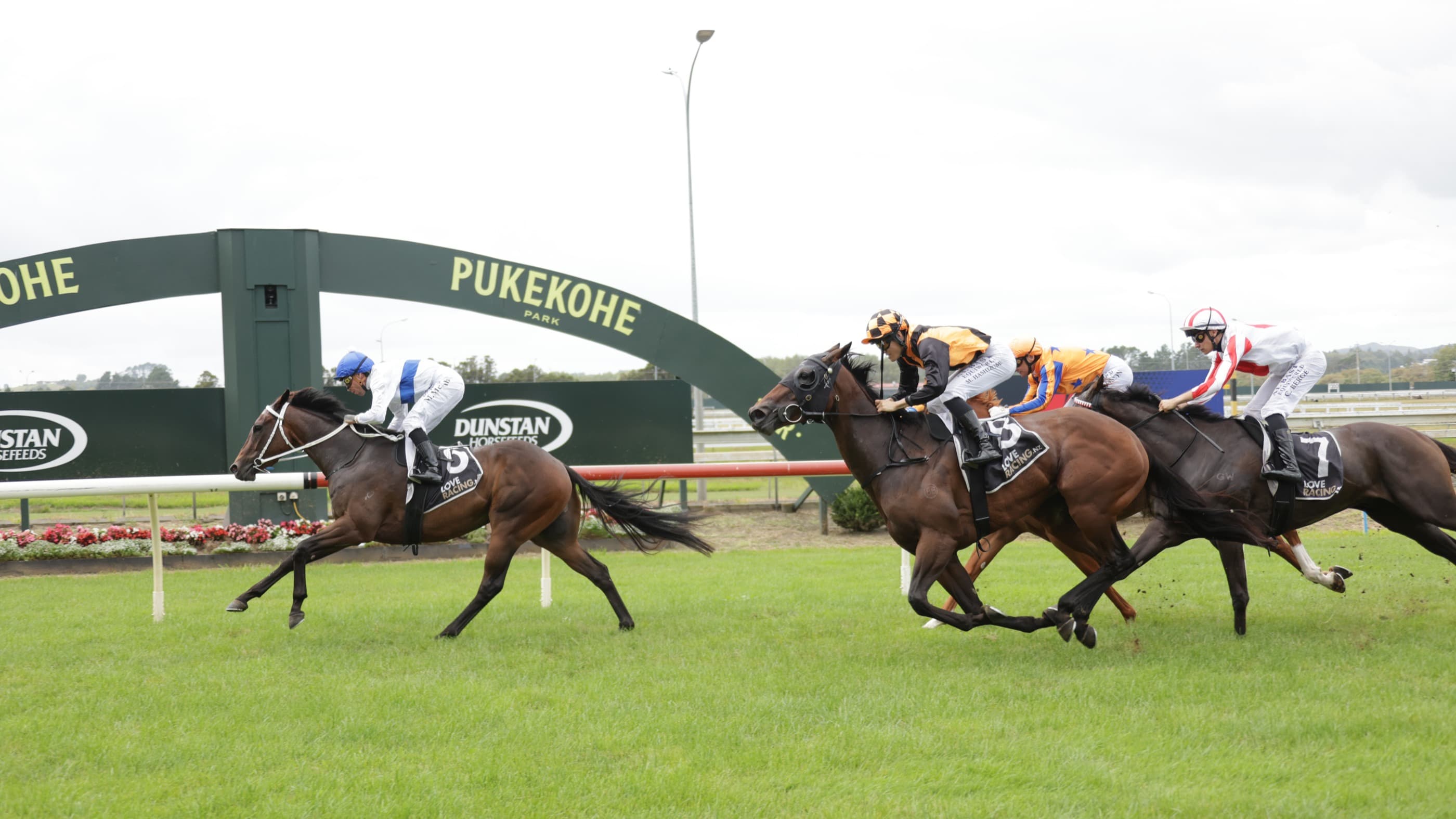 Guineas ideal fit for improving Flashback
