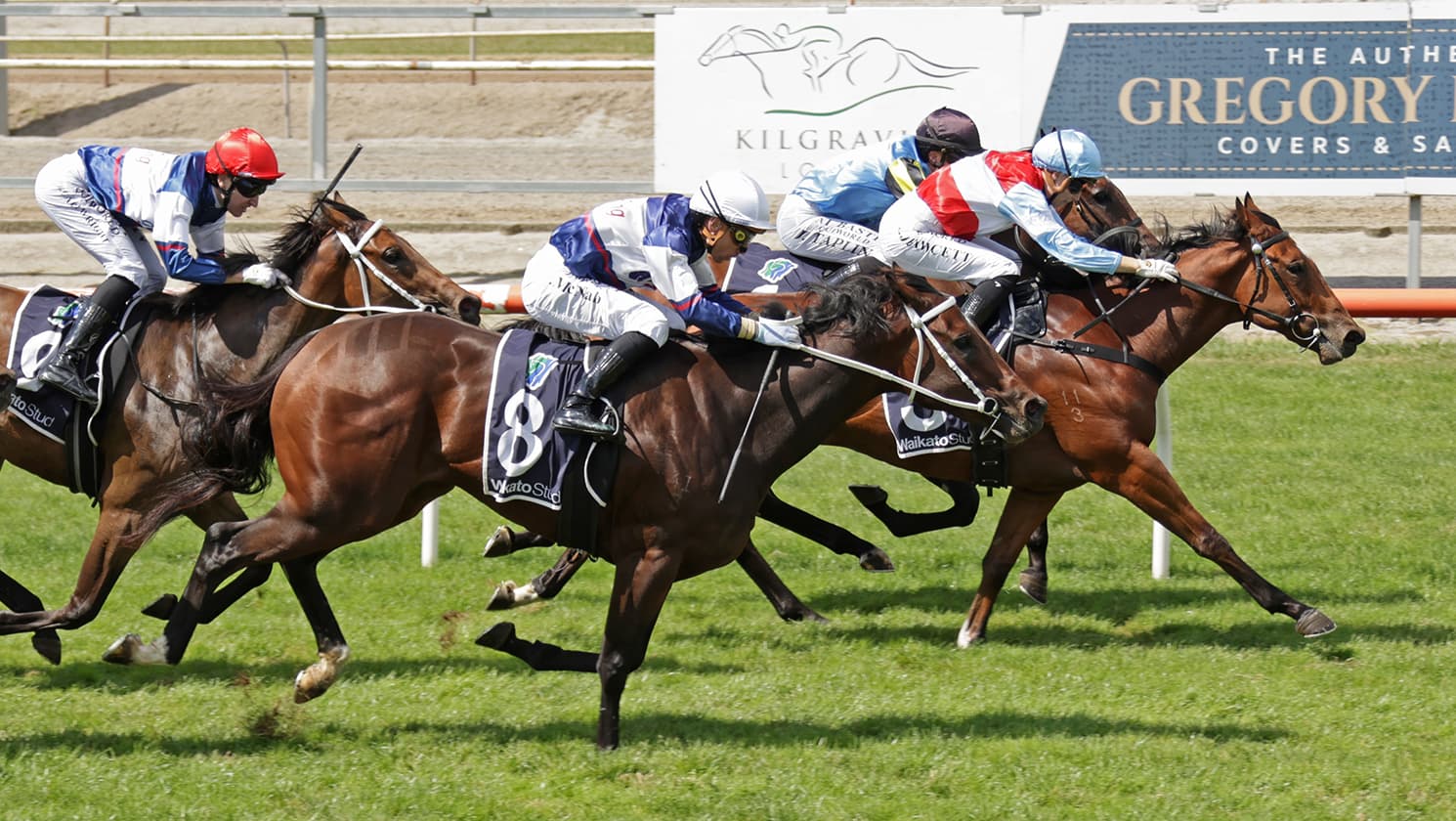 Online bargain makes quick return with debut win