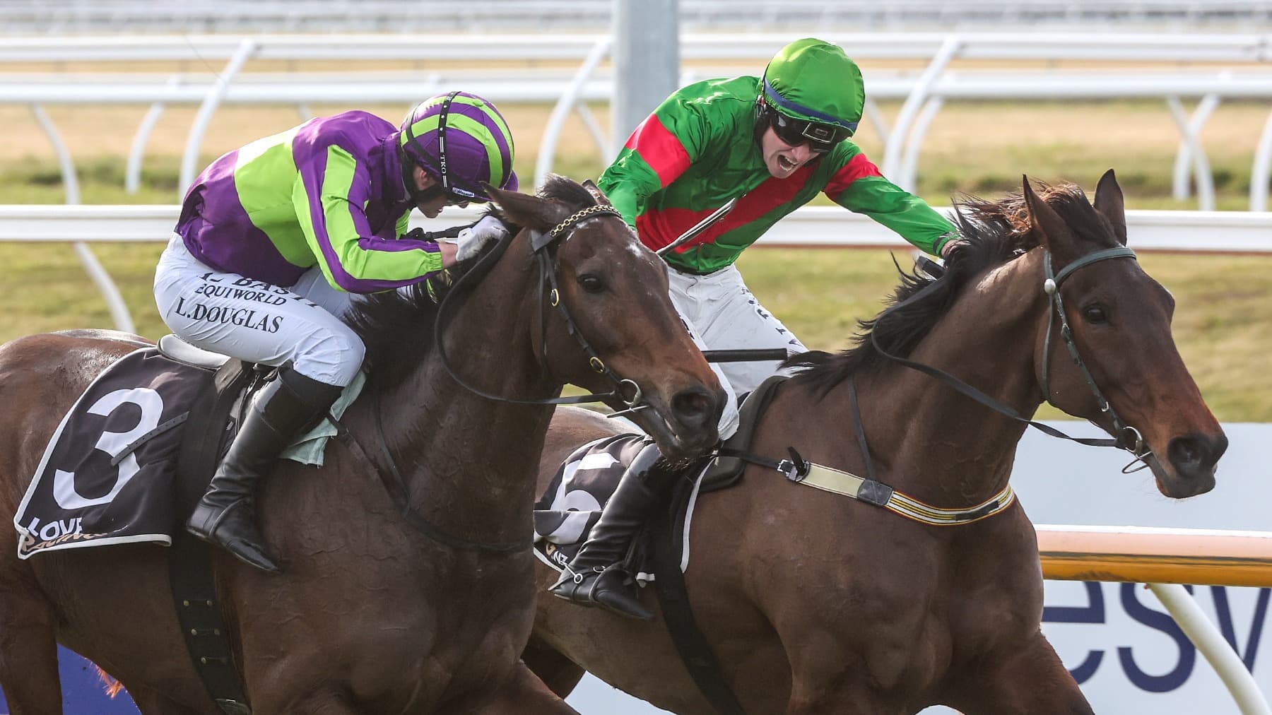 Lord Spencer victorious in Grand National Steeplechase