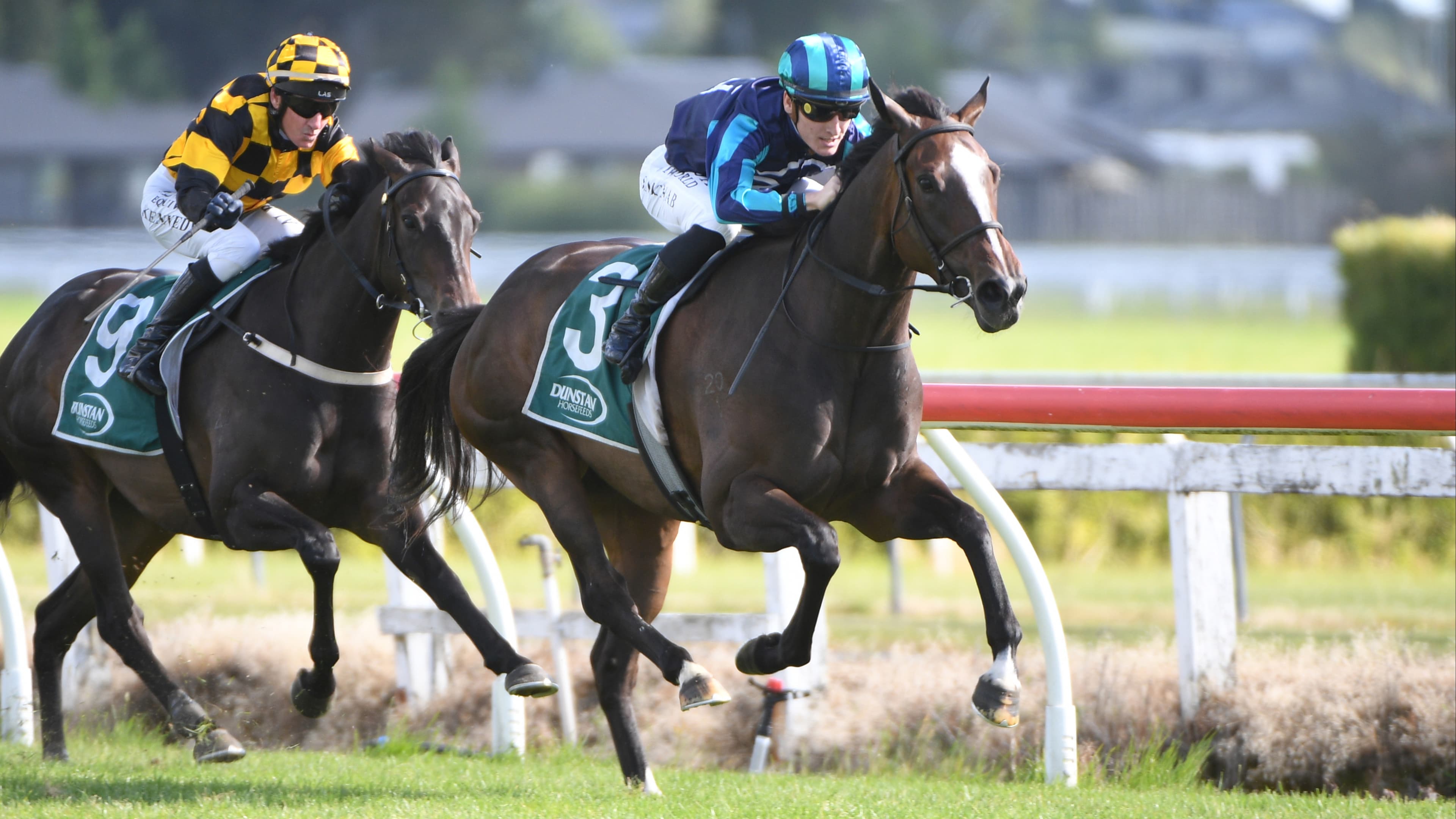 Rich Ellerslie prize beckons emerging mare
