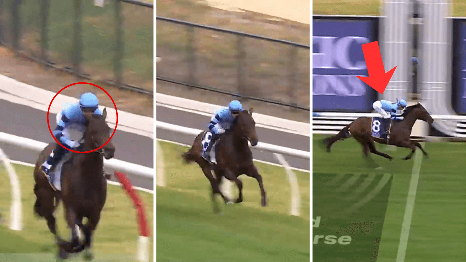 "Sky’s the limit": Maher's colt primed for Magic Millions victory