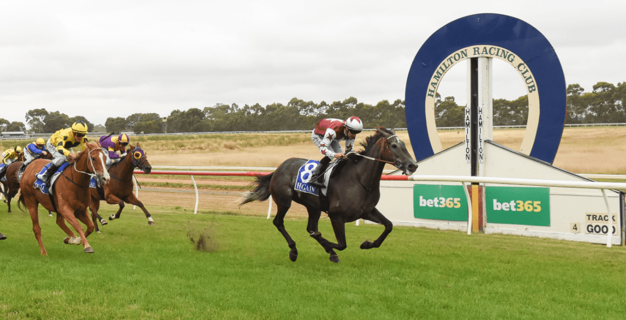 Tuesday best bets from Campbell Brown (07/04)